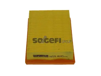 Air Filter (PA7376)