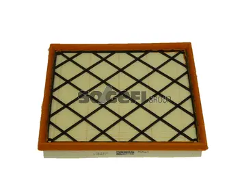Air Filter (PA7663)