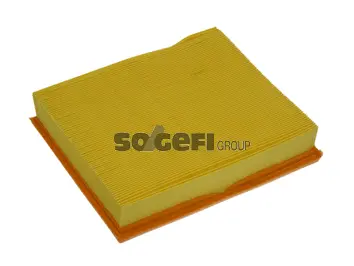 Air Filter (PA7297)