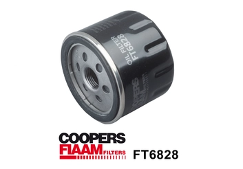 Oil Filter (FT6828)