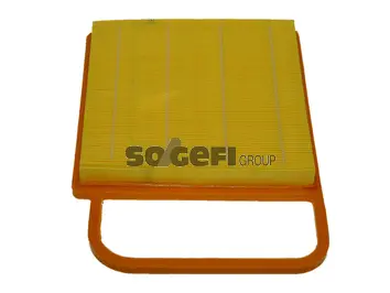 Air Filter (PA7434)