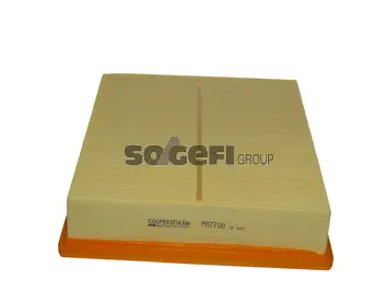 Air Filter (PA7700)