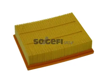Air Filter (PA7392)