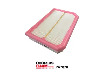 Air Filter (PA7870)
