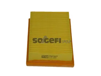 Air Filter (PA7207)