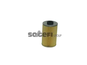 Fuel Filter (FA4043/2)