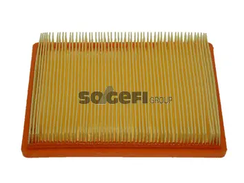 Air Filter (PA7439)