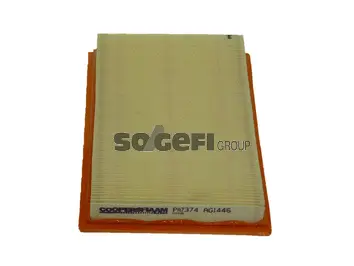 Air Filter (PA7374)