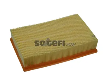 Air Filter (PA7321)