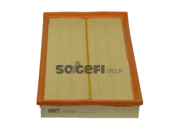 Air Filter (PA7542)