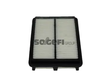 Air Filter (PA7652)
