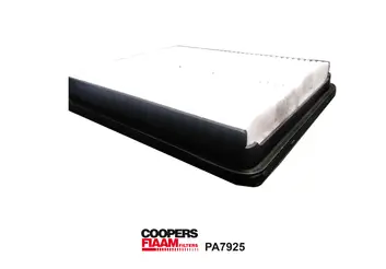 Air Filter (PA7925)