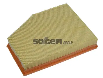 Air Filter (PA7491)