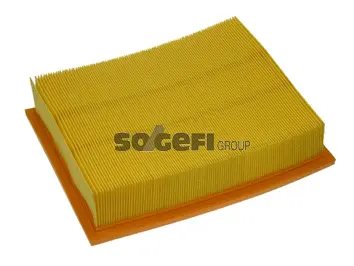 Air Filter (PA7217)