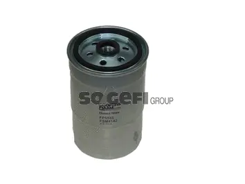 Fuel Filter (FP5555)