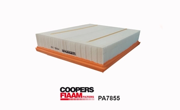Air Filter (PA7855)