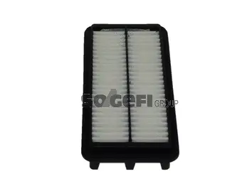 Air Filter (PA7653)