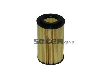 Oil Filter (FA6098ECO)
