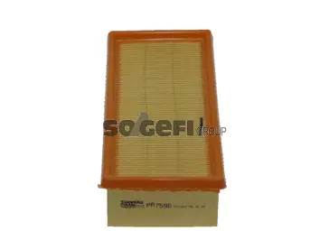 Air Filter (PA7596)