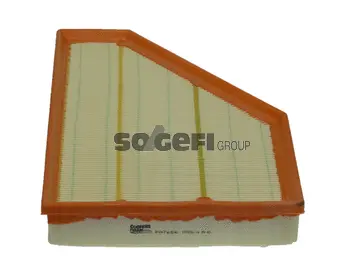 Air Filter (PA7656)