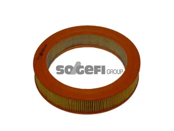 Air Filter (FL6559)