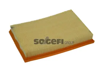 Air Filter (PA7368)