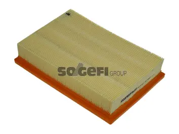 Air Filter (PA7442)