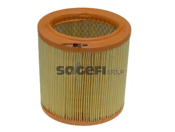 Air Filter (FL6924)