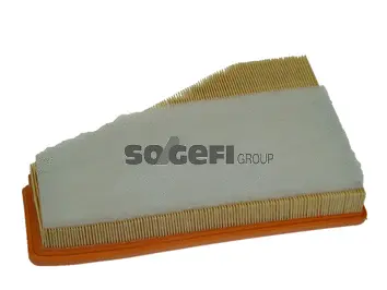 Air Filter (PA7423)