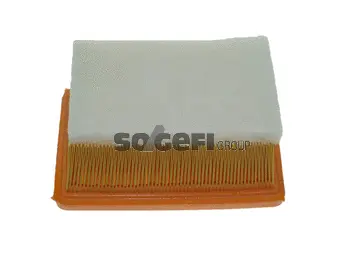 Air Filter (PA7445)