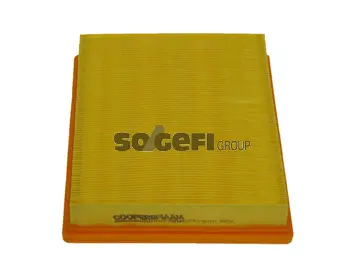 Air Filter (PA7411)