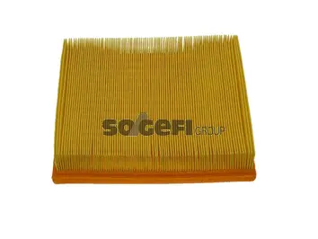 Air Filter (PA7177)