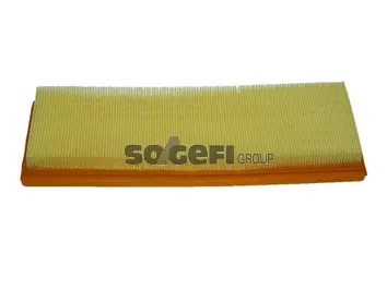 Air Filter (PA7162A)