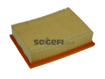 Air Filter (PA7119)