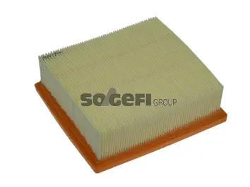 Air Filter (PA7517)