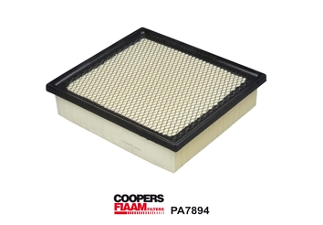 Air Filter (PA7894)
