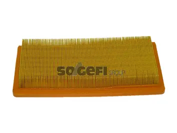 Air Filter (PA7113)