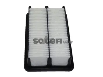 Air Filter (PA7695)