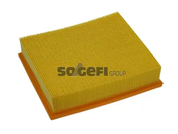 Air Filter (PA7091)