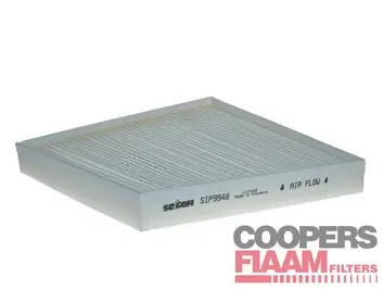 Filter, cabin air (PC8480)