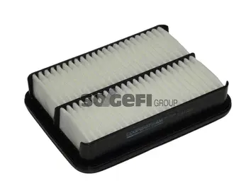 Air Filter (PA7449)