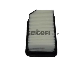 Air Filter (PA7660)