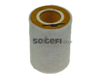Air Filter (FL9069)