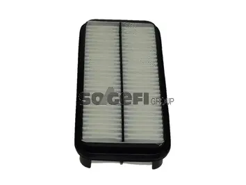 Air Filter (PA7642)