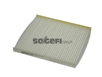 Filter, cabin air (PC8038)