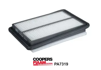 Air Filter (PA7319)