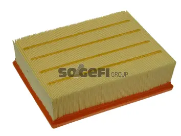 Air Filter (PA7373)
