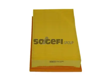 Air Filter (PA7455)