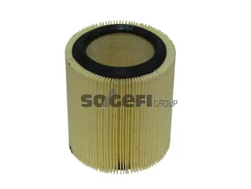 Air Filter (FL6883)