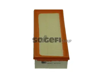 Air Filter (PA7571)